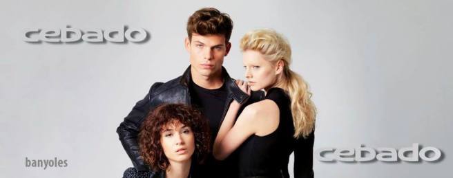 14424784_1789900254587283_1248850594773692723_o